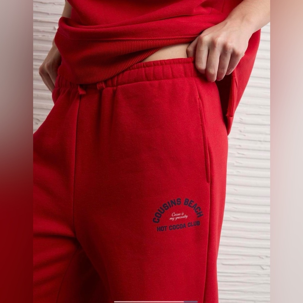 NWT- AE The Summer I Turned Pretty Lux Joggers ❤️❤️❤️